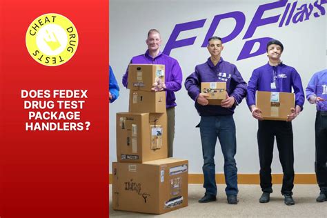 Can I Pick Up FedEx Package at Facility? Exploring the Possibilities and Beyond