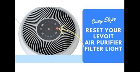 How to Change Air Purifier Filter: A Journey Through the Labyrinth of Clean Air